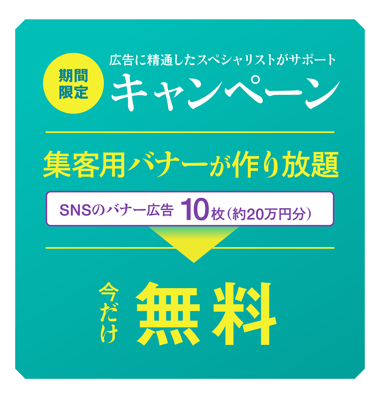 期間限定キャンペーン